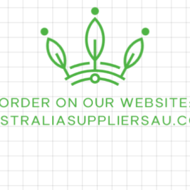 buy White Cherry Gelato australia