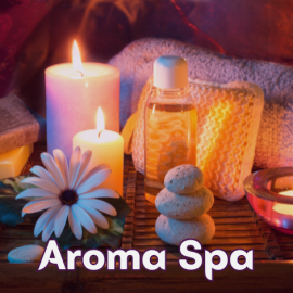 Coral Wellness Spa Kerala 8976846025