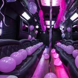 Birthday Bus Rental Staten Island