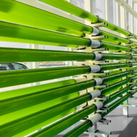 Integrated Algae Biorefinery Plant