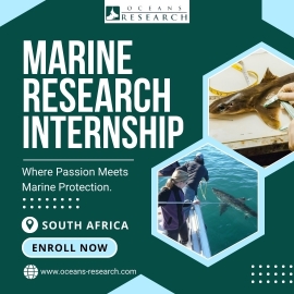 Marine Research Internship