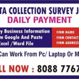 Online Jobs | Daily Income Based Jobs | Data entry jobs | Survey Jobs | 235