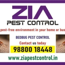 Bed Bugs Control | Bed Bugs Treatment | Bengaluru service provided | 341