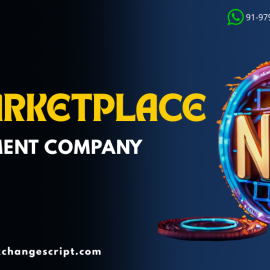 Start Your Own NFT Marketplace with End-to-End Development