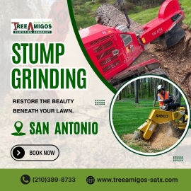 Stump Grinding In San Antonio