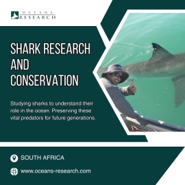  Shark Research And Conservation