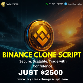 Don’t Spend $20K on Development – Get Binance Clone for $2500