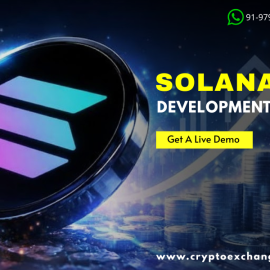 Launch Your Solana Token in 3 Days | Expert Development from $2500