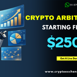 Turn Crypto Price Gaps into Profits – Get Your Arbitrage Bot for $2500