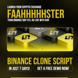 Prospects for the Development of Binance Clone Exchanges