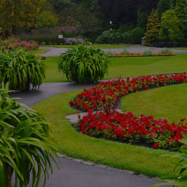 Sandy Utah Landscaping