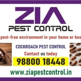 Cockroach Service | Office and Residence service Provided | Call Now | 366Cockroach Service | Office and Residence service Provided | Call Now | 366