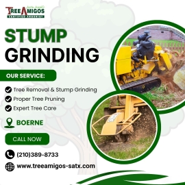 Stump Grinding In Boerne
