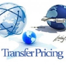 Expert Transfer Pricing Report | PKP Consult