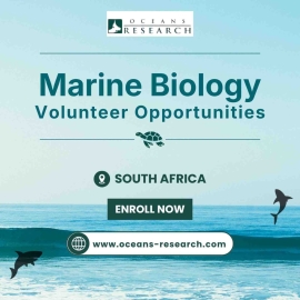Marine Biology Volunteer Opportunities