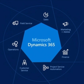 Microsoft Dynamics Services