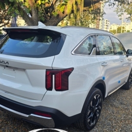 Carro, Jeepeta, Deportivo O Camioneta?