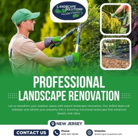 Landscape Renovation