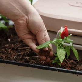 Award-Winning Electric Kitchen Composter | Countertop Food Compost Mac