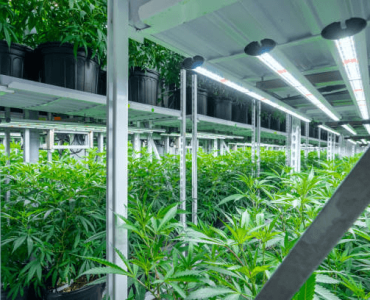 Mobile Vertical Grow Rack System