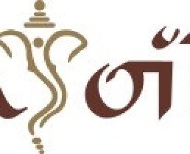 Buy Diffuser Oils Online in USA- Vedaoils USA