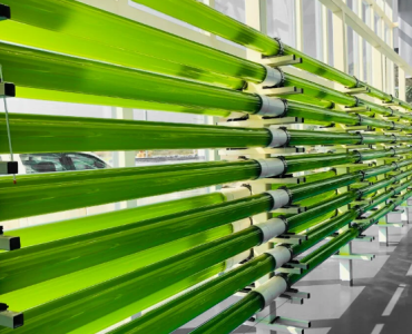 Integrated Algae Biorefinery Plant