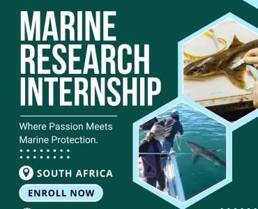 Marine Research Internship
