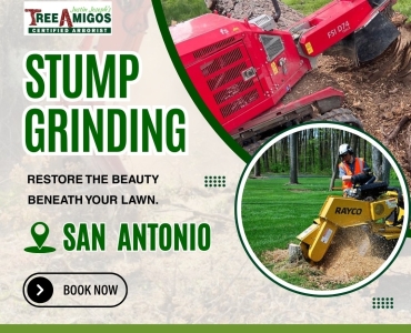 Stump Grinding In San Antonio
