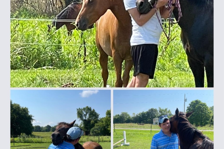 horse therapy#1