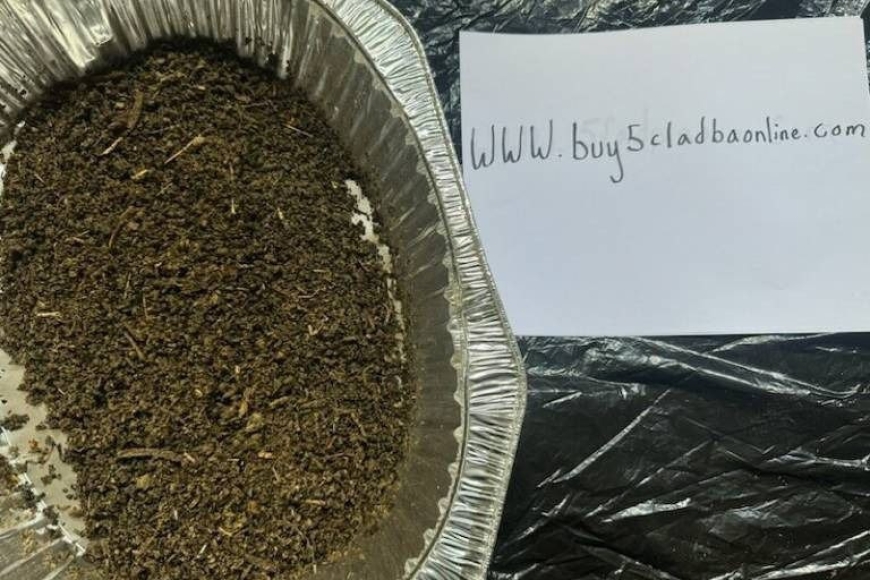 photo_2025-10-07_05-52-55