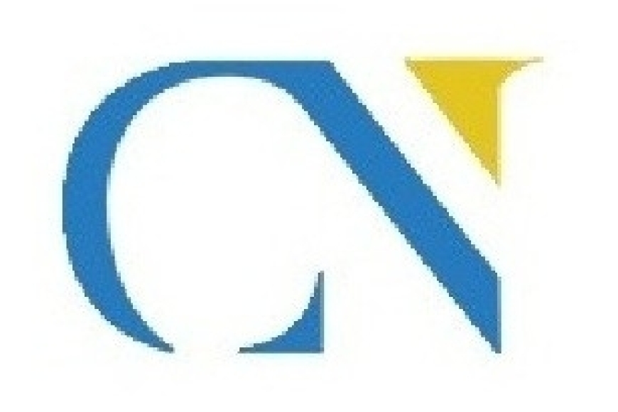 capitalnomics-logo