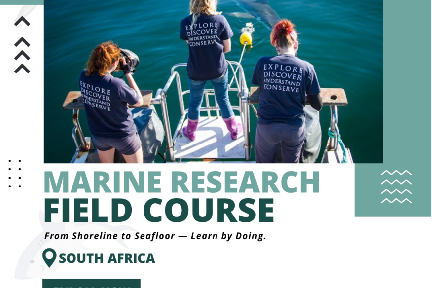MARINE RESEARCH FIELD COURSE