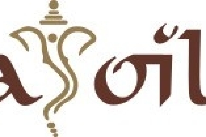 vedaoils_usa_logo (1)