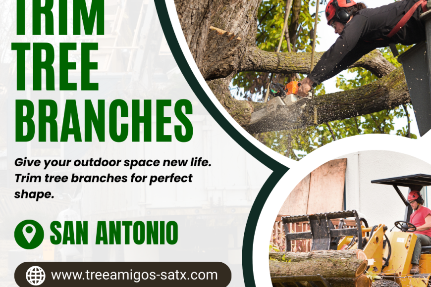 trim tree branches in San Antonio