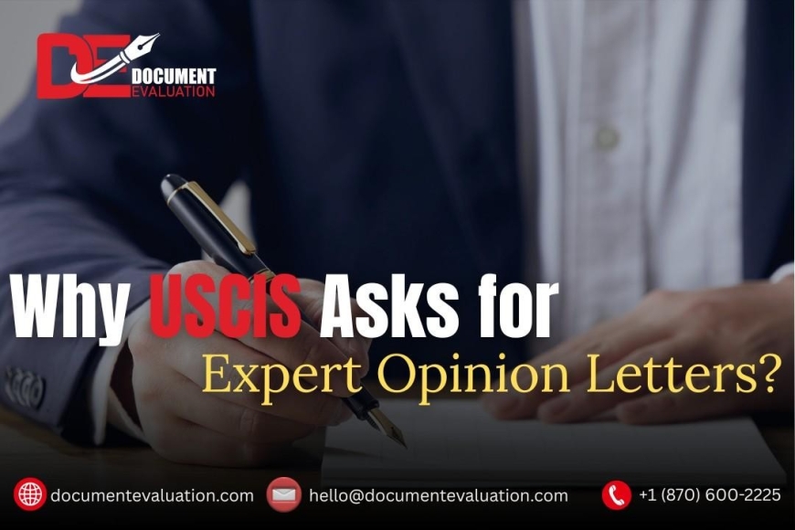 why-uscis-asks-for-expert-opinion-letters-document-evaluation.jpg