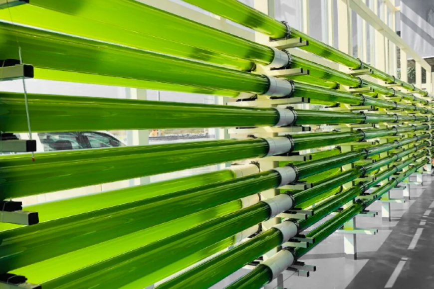 Screenshot 2025-12-17 105151