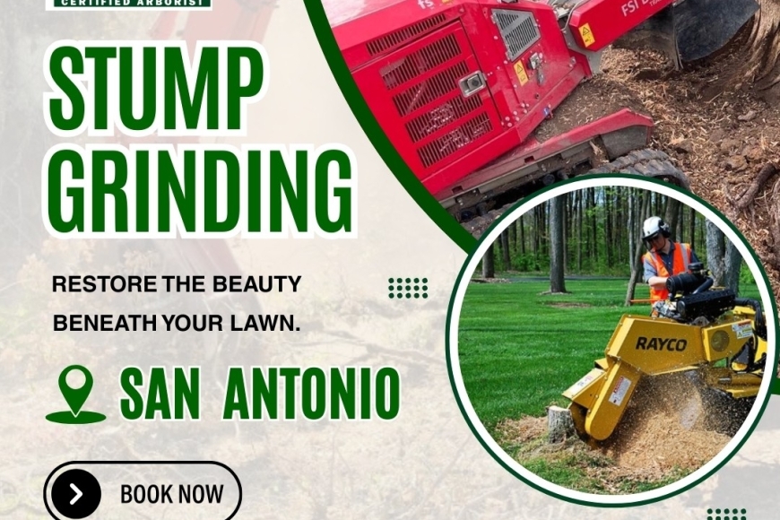 Stump Grinding In San Antonio