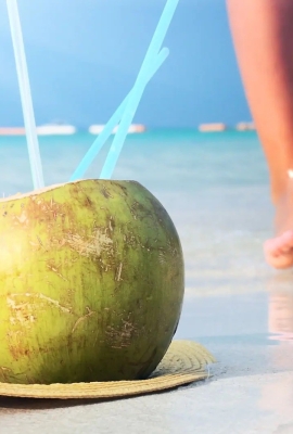 Ya Tienes Tu Ticket Para Viajar A Republica Dominicana?