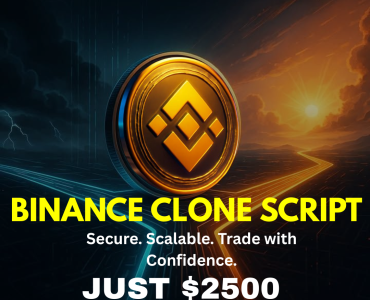 Don’t Spend $20K on Development – Get Binance Clone for $2500