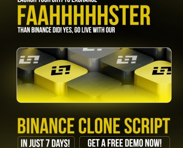 Prospects for the Development of Binance Clone Exchanges