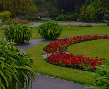 Sandy Utah Landscaping