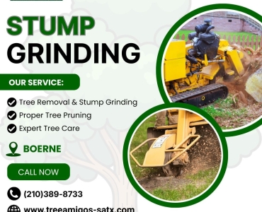 Stump Grinding In Boerne