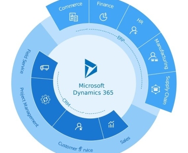 Dynamics 365 Management Services