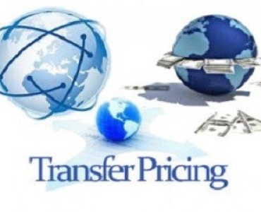 Expert Transfer Pricing Report | PKP Consult