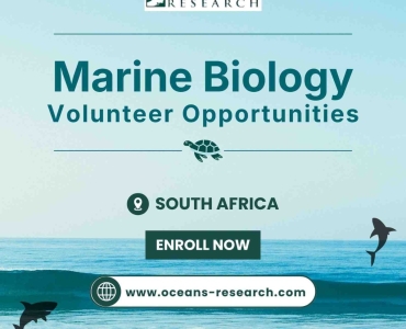 Marine Biology Volunteer Opportunities