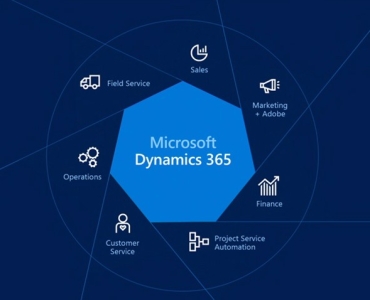 Microsoft Dynamics Services