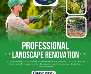 Landscape Renovation