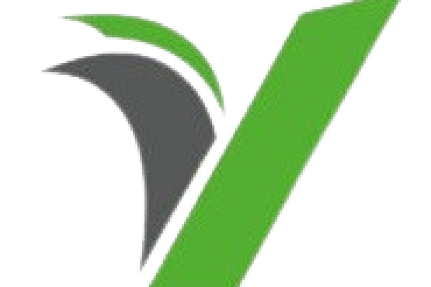 Valley_Valuations_Icon-removebg-preview