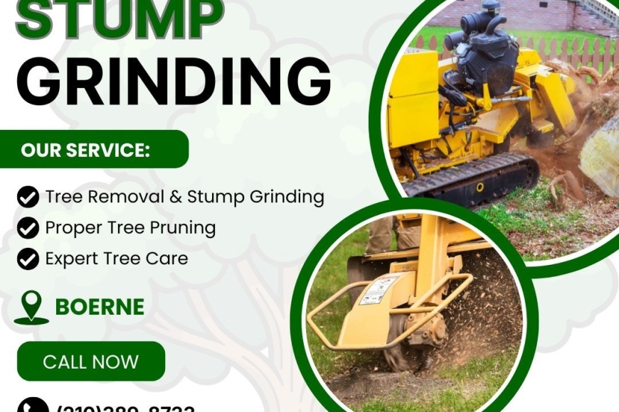 Stump Grinding In Boerne