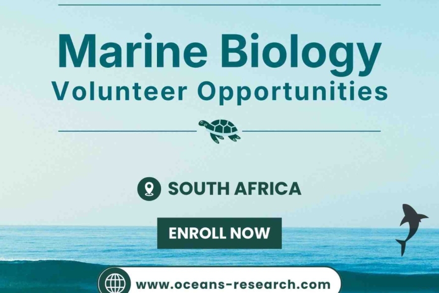 MarineBiologyVolunteerOpportunities